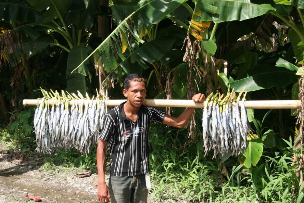Fish vendor, Dili copy.jpg