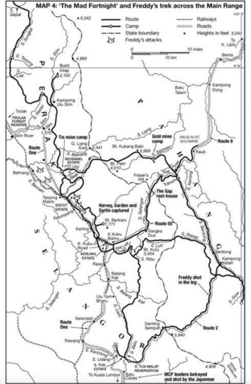 221714264_Map4-Junglewarrior.thumb.jpeg.48ba51e1629c0dd97e0f4bafd1ad3107.jpeg