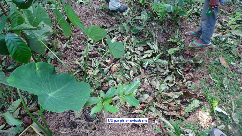 2:2 gun pit at ambush site.jpg