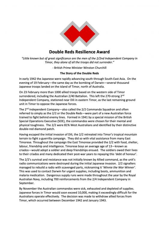 1 Double Reds Resilience Award Information.jpg