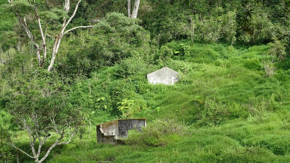 1082016503_Overgrownagriculturalorgardenterracingandtworooflesssubsidiarybuildingsontheleft-handsideofthehouseatVilaMaria.thumb.jpg.24343ba68ad7ef2379d200a5861f8a21.jpg