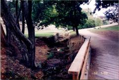 Document_20250815_0016.jpg