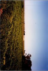 Document_20250815_0084.jpg