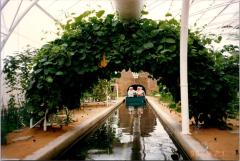 Safari Maroochydore 1996_0020.jpg
