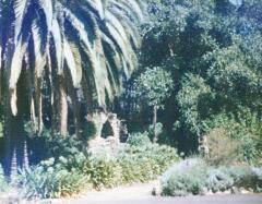 Wilsons Promontory 1988_0120_a.jpg