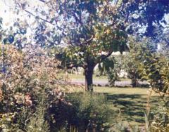 Wilsons Promontory 1988_0149_a.jpg