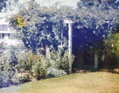 Wilsons Promontory 1988_0151_a.jpg