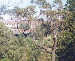 Wilsons Promontory 1988_0164_a.jpg
